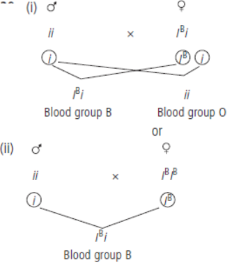 CBSE Class 10 Science Heredity and Evolution VBQs