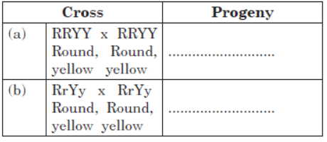 CBSE Class 10 Science Heredity and Evolution VBQs