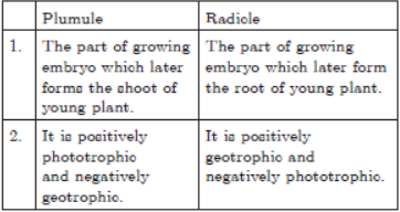 CBSE Class 10 Science How Do Organisms Reproduce Worksheet_4