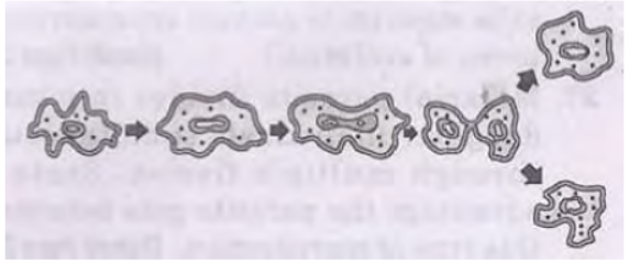 CBSE Class 10 Science How do Organisms Reproduce VBQs_1