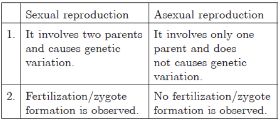 CBSE Class 10 Science How do Organisms Reproduce VBQs_2