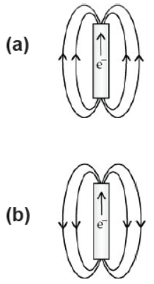 CBSE Class 10 Science Magnetic Effects Of Current Worksheet Set A