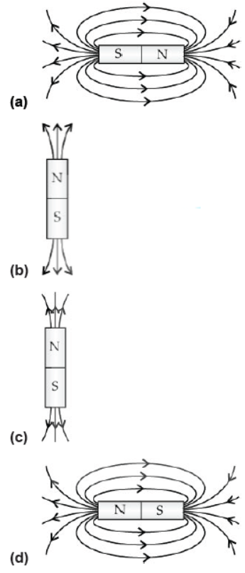 CBSE Class 10 Science Magnetic Effects Of Current Worksheet Set C