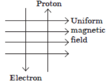 CBSE Class 10 Science Magnetic Effects of Electric Current VBQs