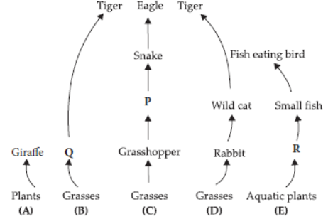 CBSE Class 10 Science Our Environment VBQs 