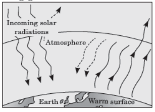 CBSE Class 10 Science Our Environment VBQs