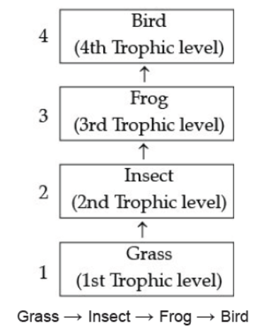 CBSE Class 10 Science Our Environment Worksheet 