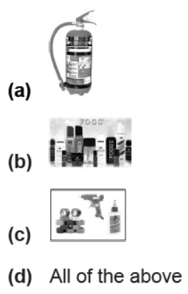 CBSE Class 10 Science Our Environment Worksheet 