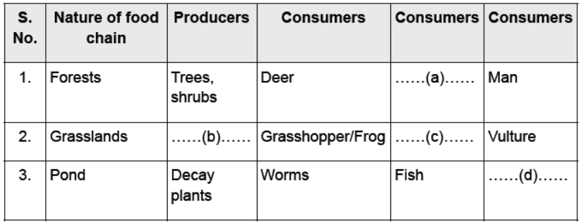 CBSE Class 10 Science Our Environment Worksheet 