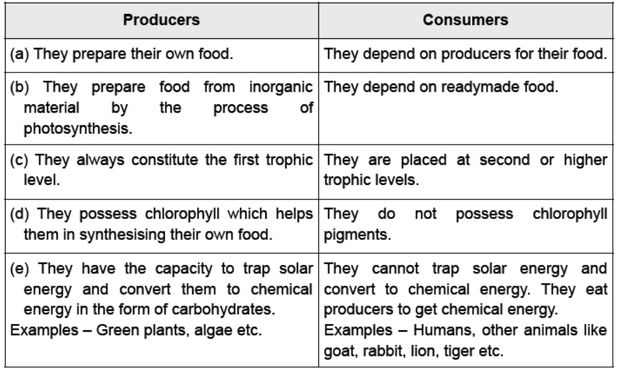 CBSE Class 10 Science Our Environment Worksheet 