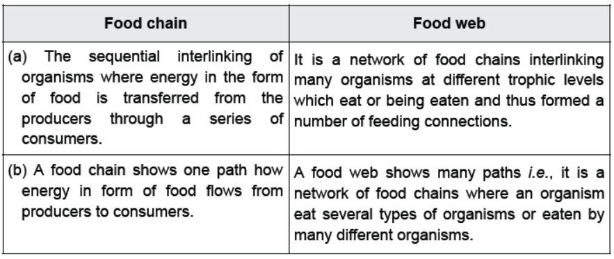 CBSE Class 10 Science Our Environment Worksheet 