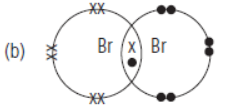 CBSE Class 10 Science Periodic Table VBQs 