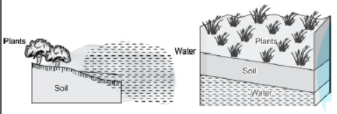 CBSE Class 10 Science Sustainable Management of Natural Resources VBQs