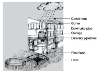 CBSE Class 10 Science Sustainable Management of Natural Resources VBQs 