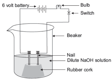 CBSE Class 10 Science Term 1 Sample Paper Solved 2022