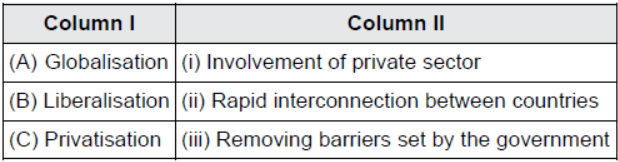 CBSE Class 10 Social Science Globalization and Indian Economy