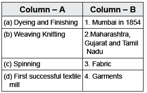 CBSE Class 10 Social Science Manufacturing Industries_7