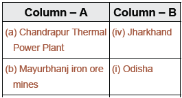 CBSE Class 10 Social Science Minerals And Energy Resources_10