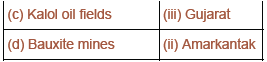 CBSE Class 10 Social Science Minerals And Energy Resources_11