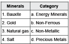 CBSE Class 10 Social Science Minerals And Energy Resources_3