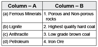 CBSE Class 10 Social Science Minerals And Energy Resources_8
