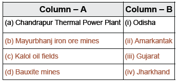 CBSE Class 10 Social Science Minerals And Energy Resources_9