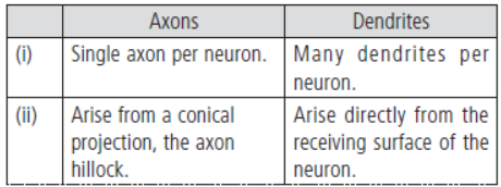 CBSE Class 11 Biology HOTs Neural Control and Coordination