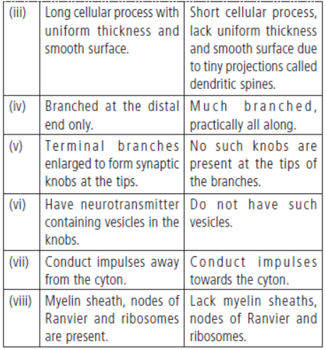 CBSE Class 11 Biology HOTs Neural Control and Coordination