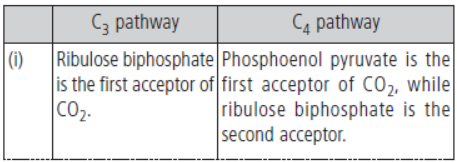 CBSE Class 11 Biology HOTs Photosynthesis In Higher Plants