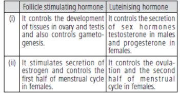 CBSE Class 11 Biology Hots Chemical Coordination and Integration