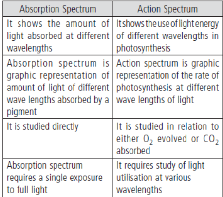 CBSE Class 11 Biology VBQs Photosynthesis In Higher Plants