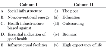 CBSE Class 11 Economics Infrastructure in India Worksheet