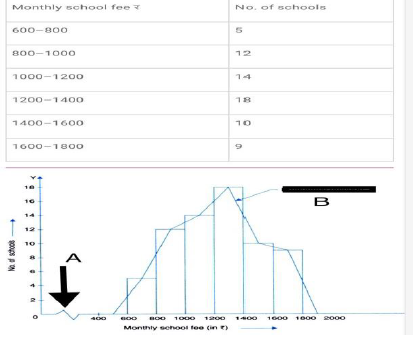 CBSE Class 11 Economics Presentation Of Data Worksheet