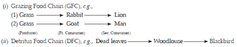 CBSE Class 12 Biology Ecosystem Question Bank