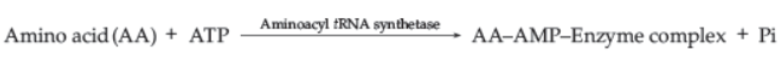 CBSE Class 12 Biology Molecular Basis of Inheritance Worksheet Set E