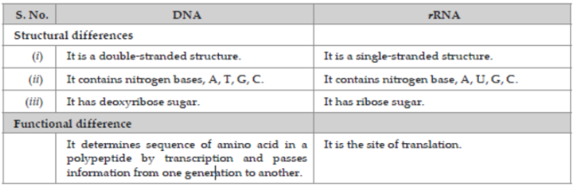 CBSE Class 12 Biology Molecular Basis of Inheritance Worksheet Set F