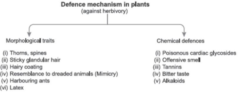 CBSE Class 12 Biology Organisms And Populations Worksheet