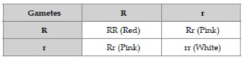 CBSE Class 12 Biology Principles of Inheritance And Variation Question Bank