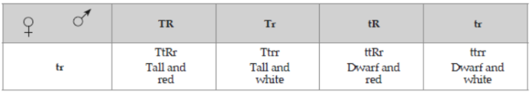 CBSE Class 12 Biology Principles of Inheritance And Variation Question Bank