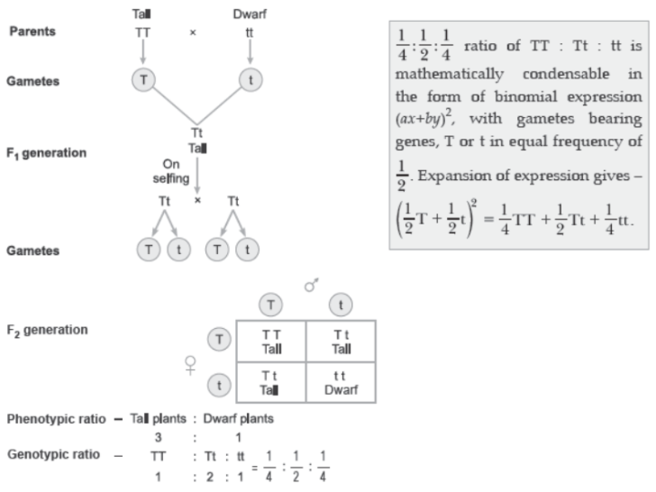 CBSE Class 12 Biology Principles of Inheritance And Variation Question Bank