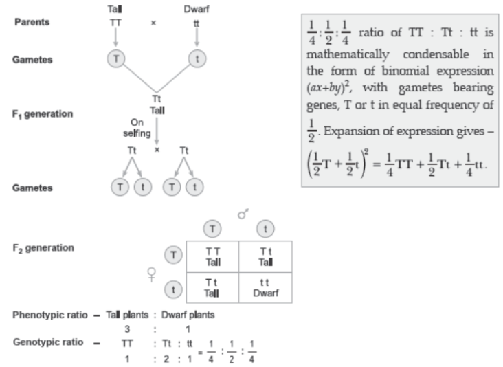 CBSE Class 12 Biology Principles of Inheritance And Variation Question Bank