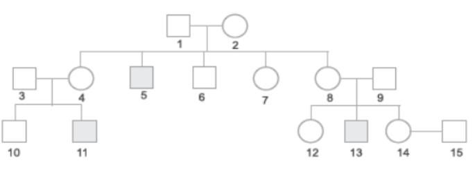 CBSE Class 12 Biology Principles of Inheritance And Variation Worksheet Set A