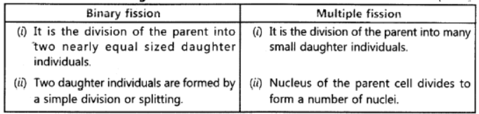 Class 10 Science HOTs Question How Do Organisms Reproduce_1