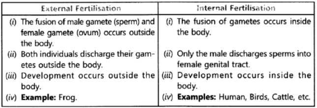 Class 10 Science HOTs Question How Do Organisms Reproduce_3