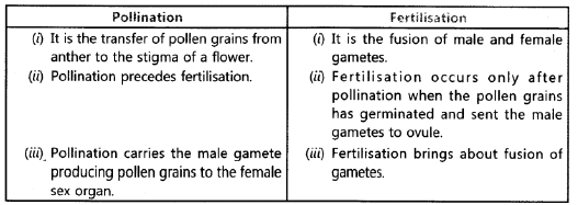 Class 10 Science How Do Organisms Reproduce VBQs_3