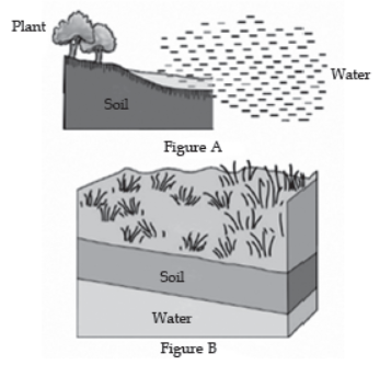 Competency Based Questions Class 10 Science