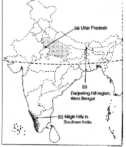 Map-11