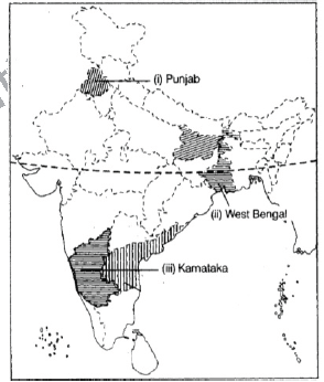 Map-8