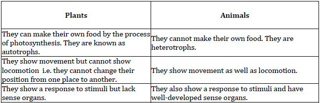 The Living World Class 11 Biology_2