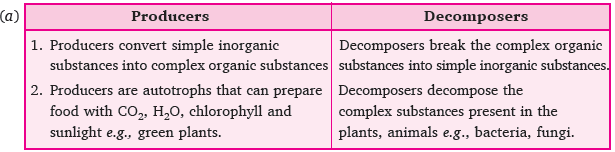 CBSE Class 10 Science Our Environment Assignment Set A